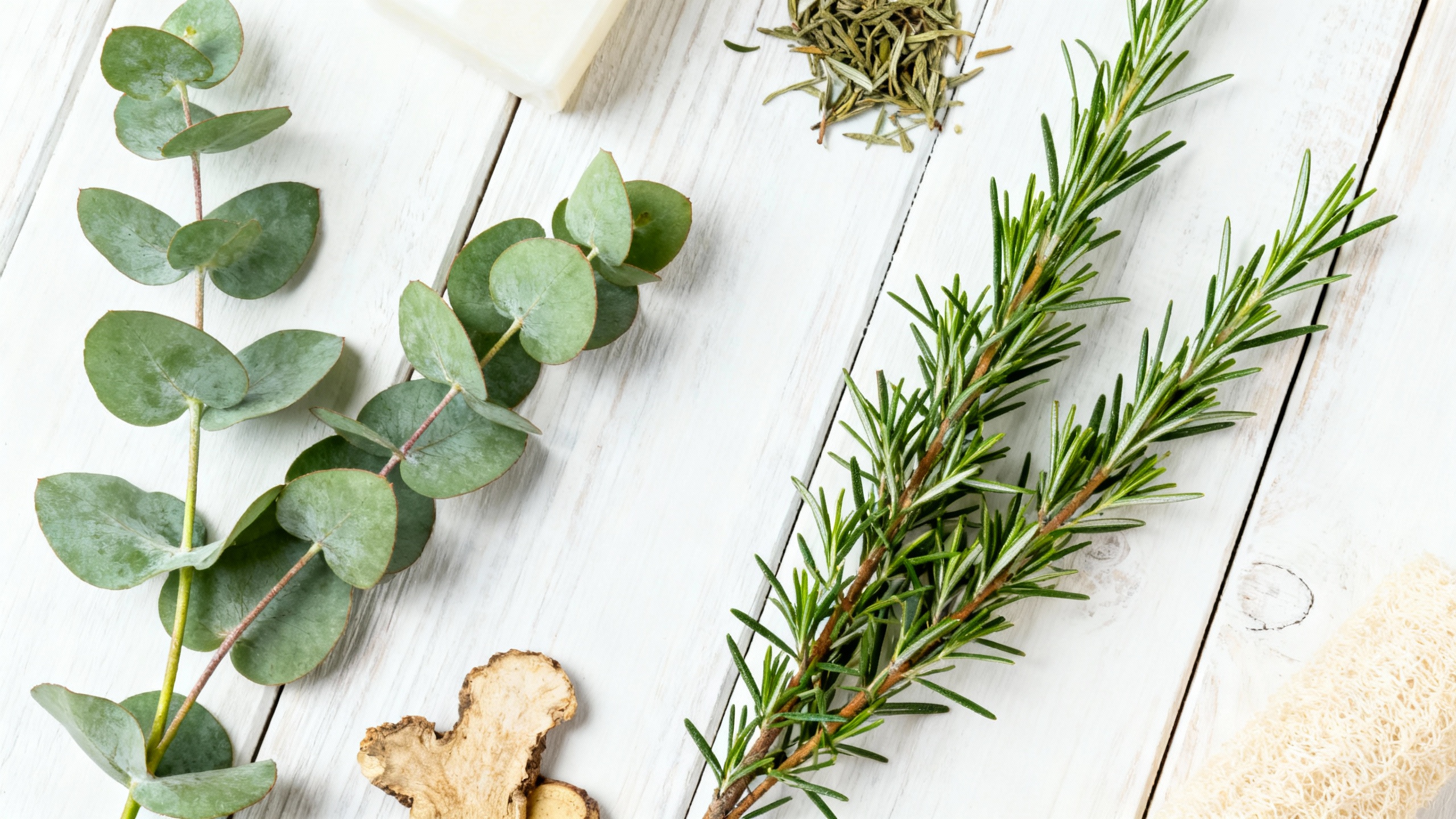 Featured image for The Itch Stops Here: Home Remedies for Jock Itch Relief